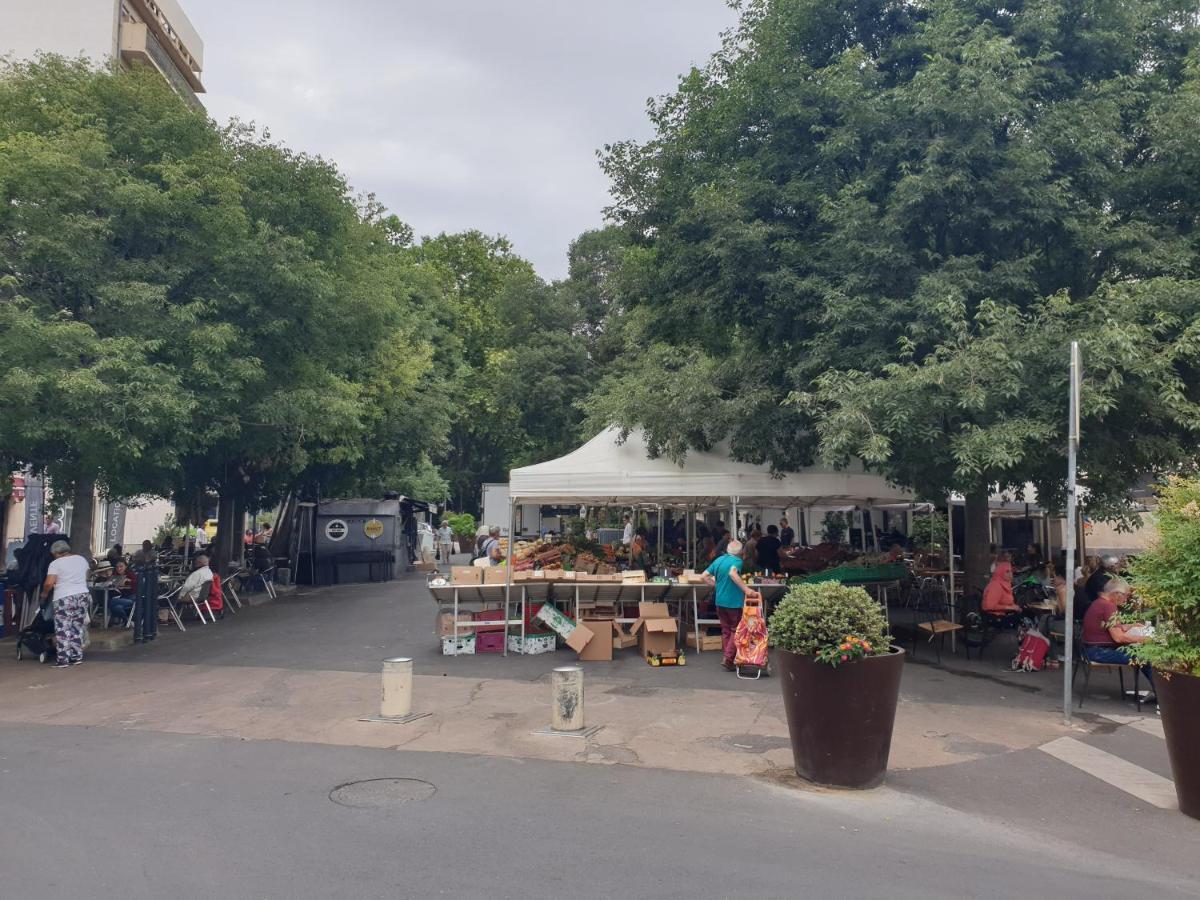 Ferienwohnung Une Heureuse Coincidence Montpellier Exterior foto